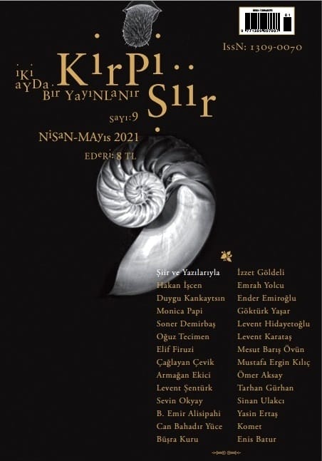 Kirpi Şiir Dergisi'nin 9. Sayısı