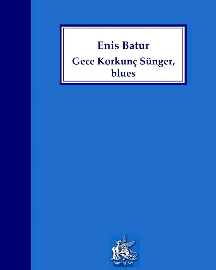 Gece Korkunç Sünger Blues - Enis Batur