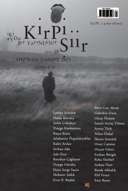 Kirpi Şiir - 10. Sayı