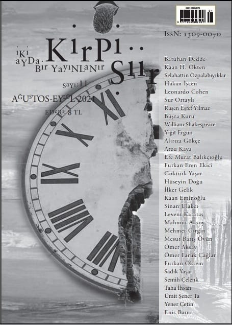 Kirpi Şiir 11. Sayısı Çıktı