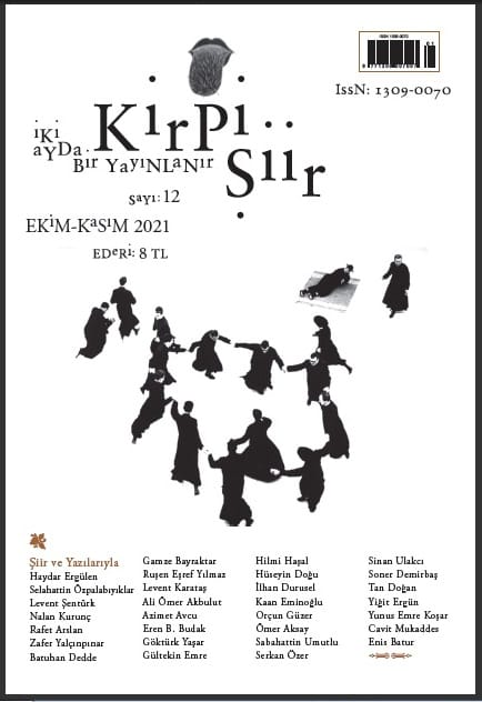 Kirpi Şiir / 12.Sayısı, Çıktı