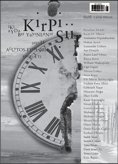 Kirpi Şiir 11. Sayısı Çıktı